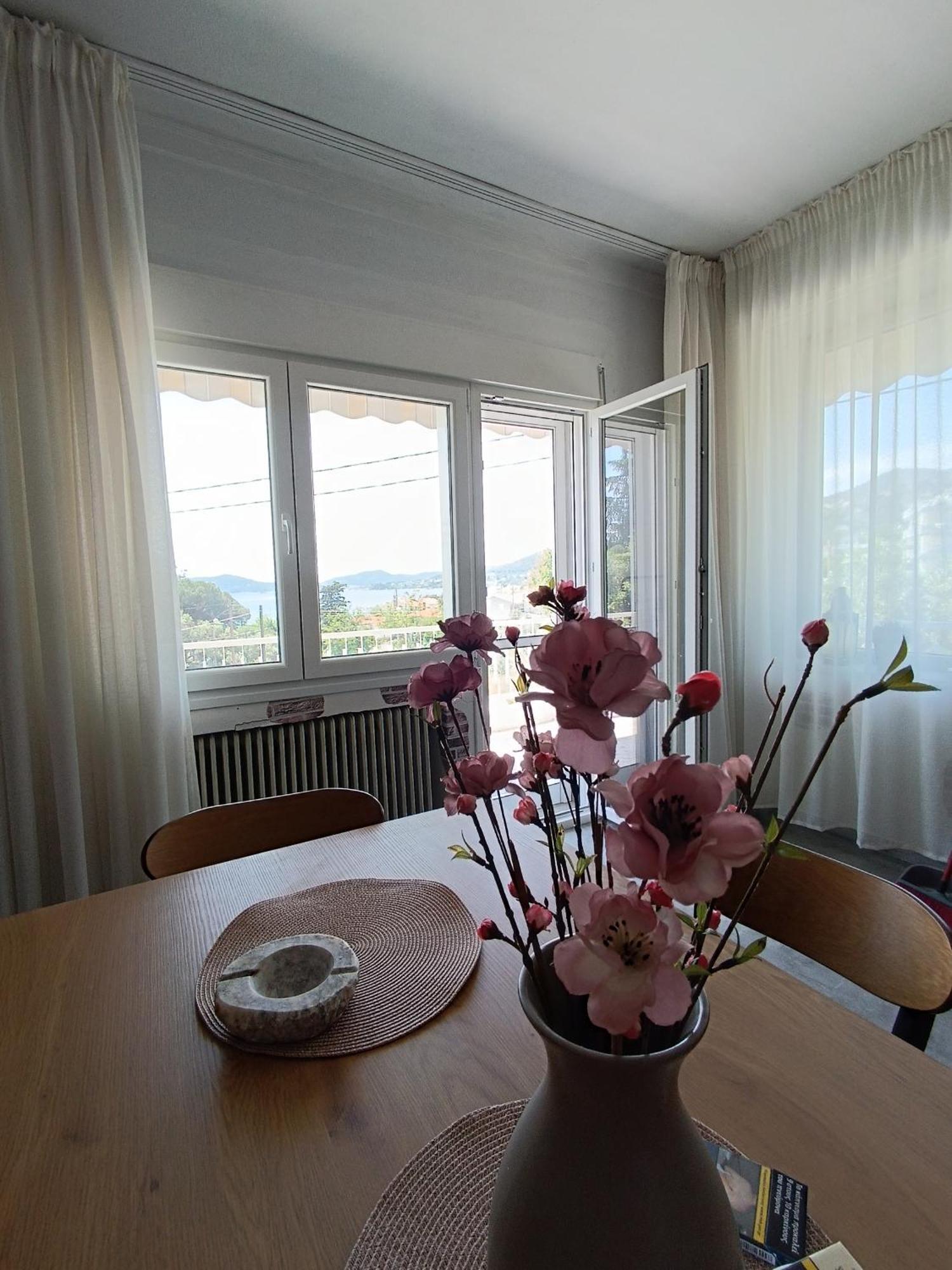 Sea View Palio Apartment Palaiontsiflikion Exterior photo
